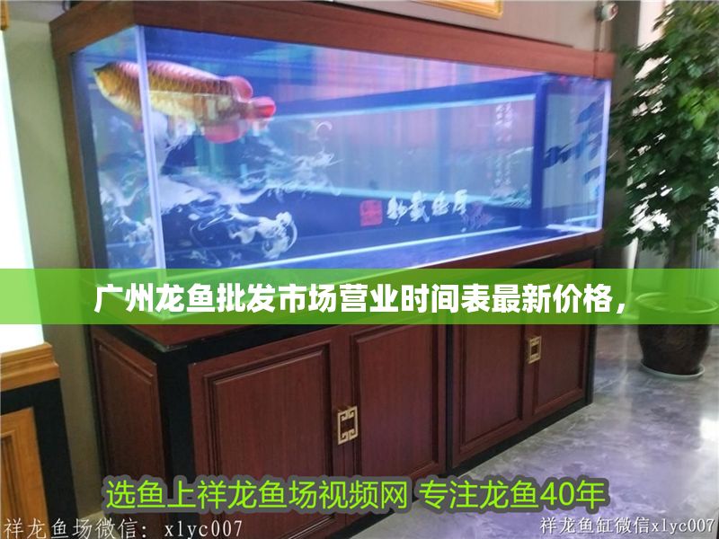 廣州龍魚批發市場營業時間表最新價格，