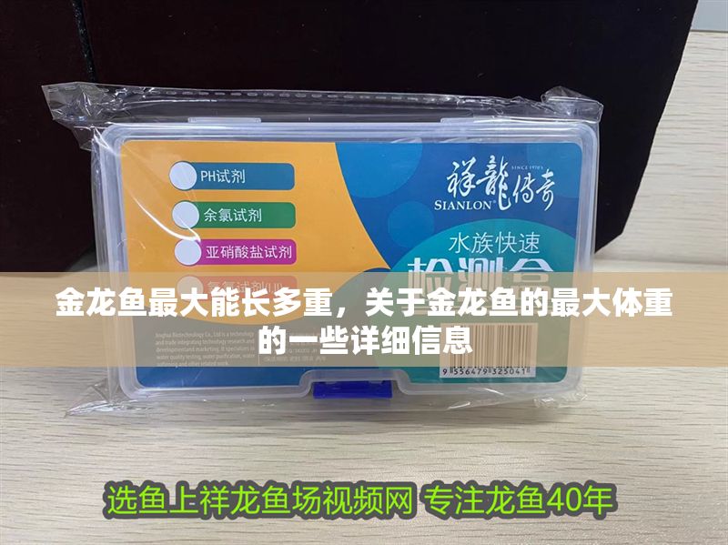 金龍魚最大能長多重，關于金龍魚的最大體重的一些詳細信息