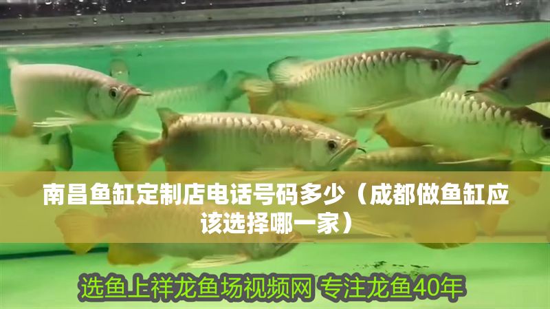 南昌魚缸定制店電話號碼多少（成都做魚缸應該選擇哪一家）