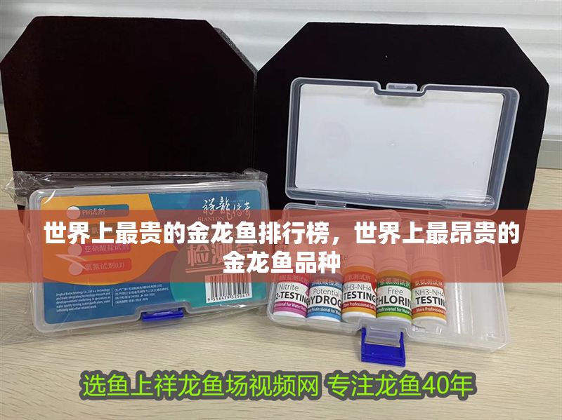 世界上最貴的金龍魚排行榜，世界上最昂貴的金龍魚品種
