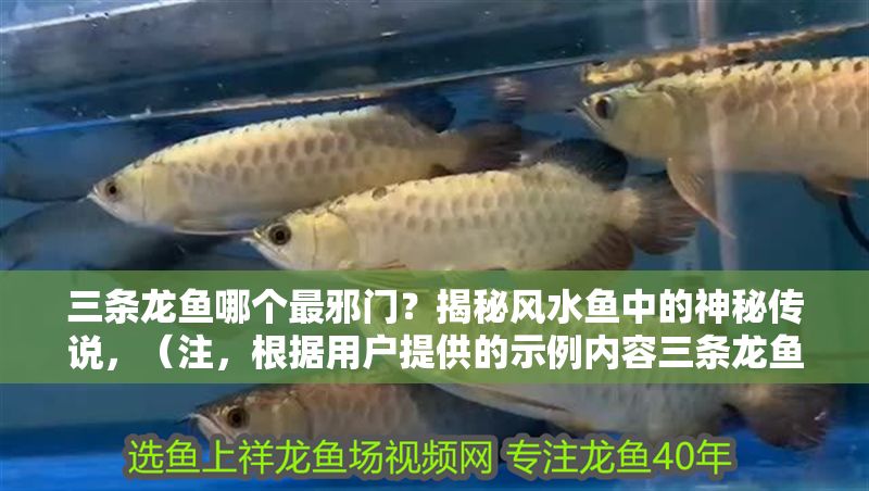 三條龍魚哪個最邪門？揭秘風水魚中的神秘傳說，（注，根據用戶提供的示例內容三條龍魚哪個最邪門？揭秘風水魚中的神秘傳說，推測其偏好神秘、風水相關主題，故生成以下標題。若實際內容方向不同，可調整關鍵詞。），建議，，血紅龍魚竟招陰？三大邪門龍魚風水禁忌全解析，聚焦邪門風水禁忌等關鍵詞，用疑問句式引發好奇，同時涵蓋三大龍魚的對比要素，符合用戶提供的參考風格。）