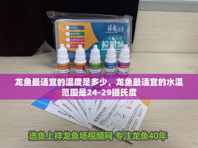 龍魚最適宜的溫度是多少，龍魚最適宜的水溫范圍是24-29攝氏度