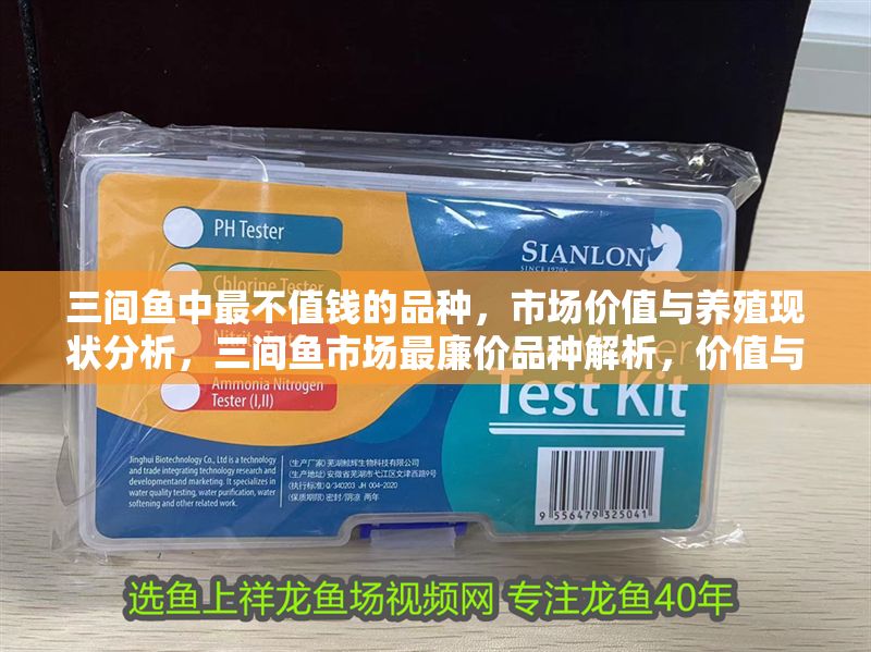 三間魚中最不值錢的品種，市場價值與養殖現狀分析，三間魚市場最廉價品種解析，價值與養殖現狀深度探討