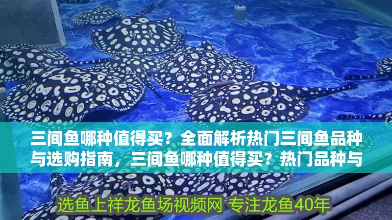 三間魚哪種值得買？全面解析熱門三間魚品種與選購指南，三間魚哪種值得買？熱門品種與選購全攻略