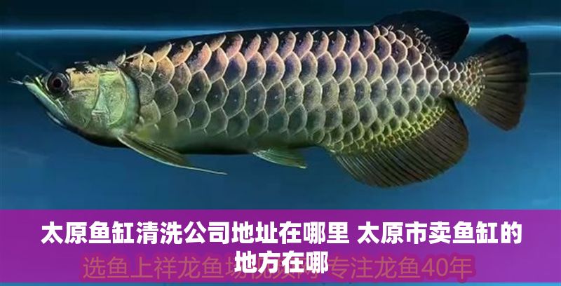 太原魚缸清洗公司地址在哪里 太原市賣魚缸的地方在哪