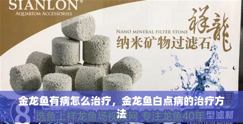 金龍魚有病怎么治療，金龍魚白點病的治療方法