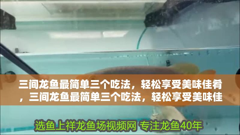 三間龍魚最簡單三個吃法，輕松享受美味佳肴，三間龍魚最簡單三個吃法，輕松享受美味佳肴