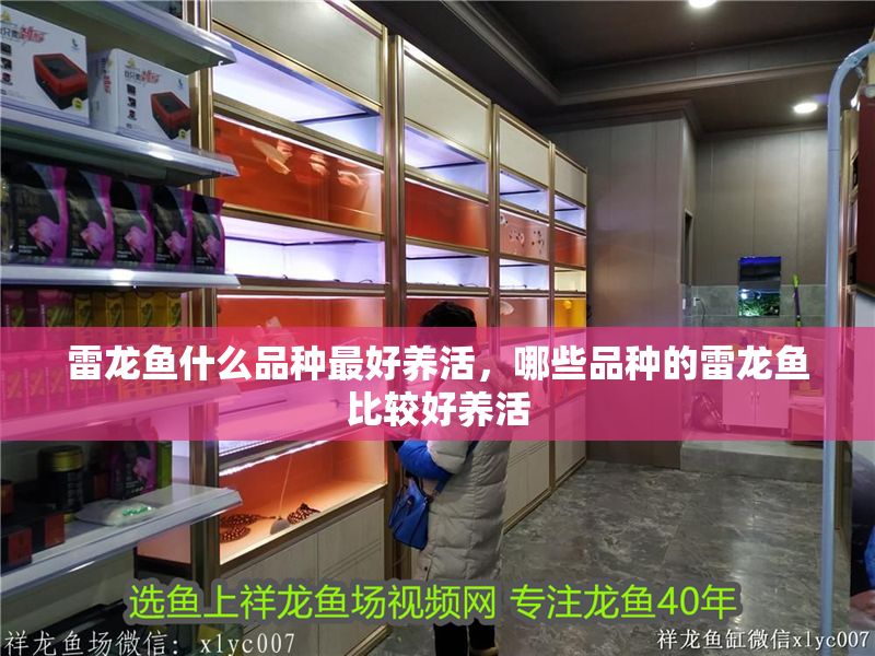 雷龍魚什么品種最好養活，哪些品種的雷龍魚比較好養活