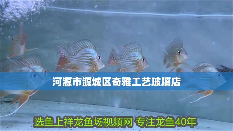 河源市源城區奇雅工藝玻璃店