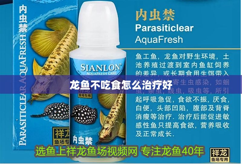 龍魚不吃食怎么治療好 龍魚百科 第2張 龍魚不吃食怎么治療好 龍魚不吃食怎么治療好 龍魚百科 第2張