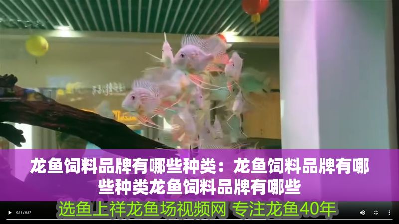 龍魚飼料品牌有哪些種類：龍魚飼料品牌有哪些種類龍魚飼料品牌有哪些