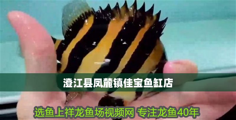 澄江縣鳳麓鎮(zhèn)佳寶魚缸店