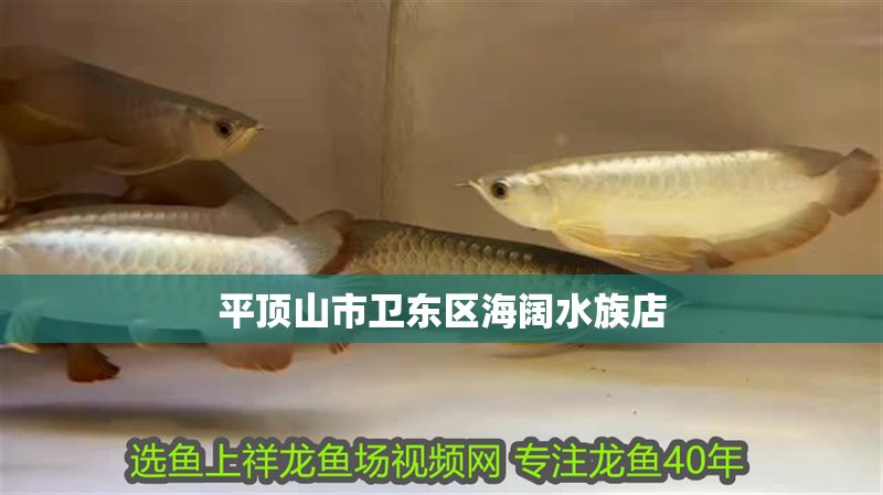平頂山市衛東區海闊水族店