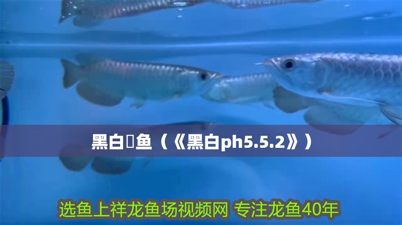 黑白魟魚（《黑白ph5.5.2》）