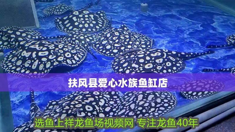 扶風縣愛心水族魚缸店