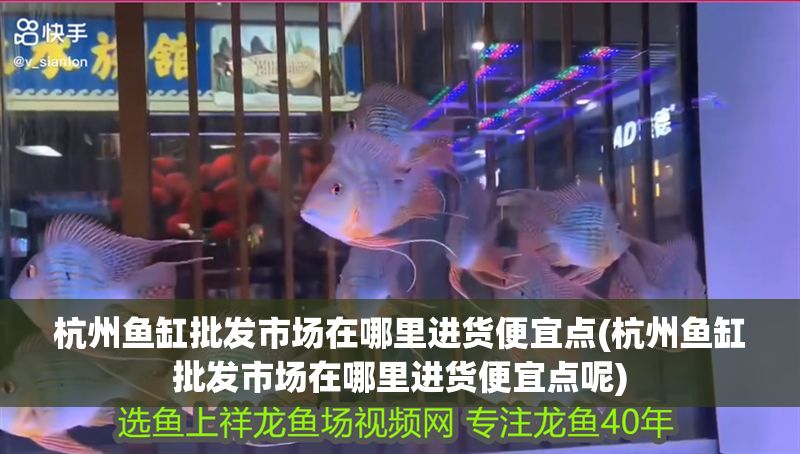 杭州魚缸批發(fā)市場(chǎng)在哪里進(jìn)貨便宜點(diǎn)(杭州魚缸批發(fā)市場(chǎng)在哪里進(jìn)貨便宜點(diǎn)呢)