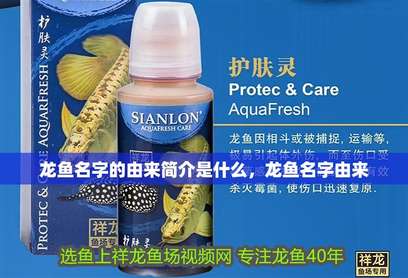 龍魚名字的由來簡介是什么，龍魚名字由來