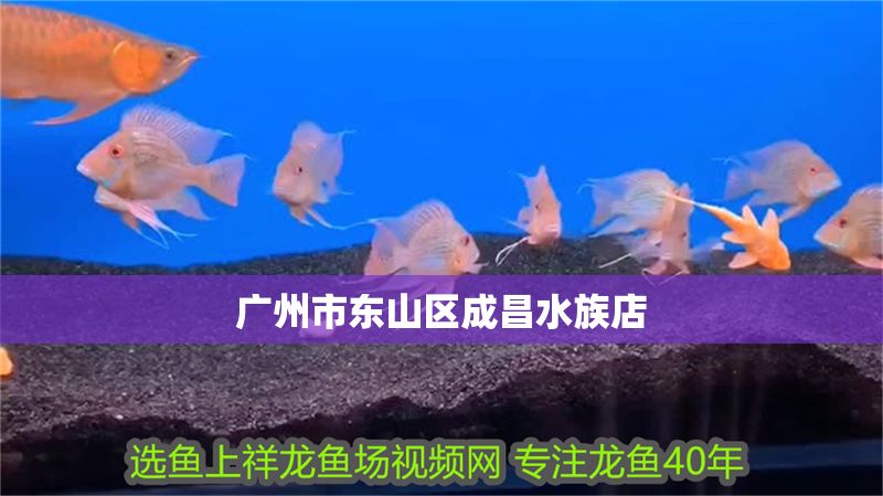 廣州市東山區成昌水族店