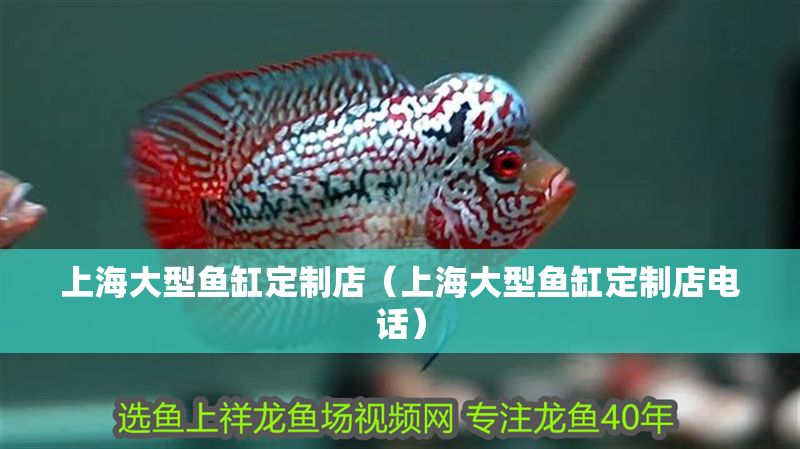 上海大型魚缸定制店（上海大型魚缸定制店電話）