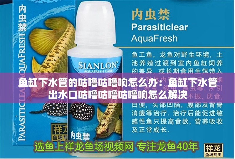 魚缸下水管的咕嚕咕嚕響怎么辦：魚缸下水管出水口咕嚕咕嚕咕嚕響怎么解決 魚缸下水管的咕嚕咕嚕響怎么辦：魚缸下水管出水口咕嚕咕嚕咕嚕響怎么解決 魚缸百科