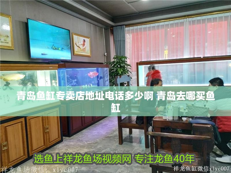 青島魚缸專賣店地址電話多少啊 青島去哪買魚缸