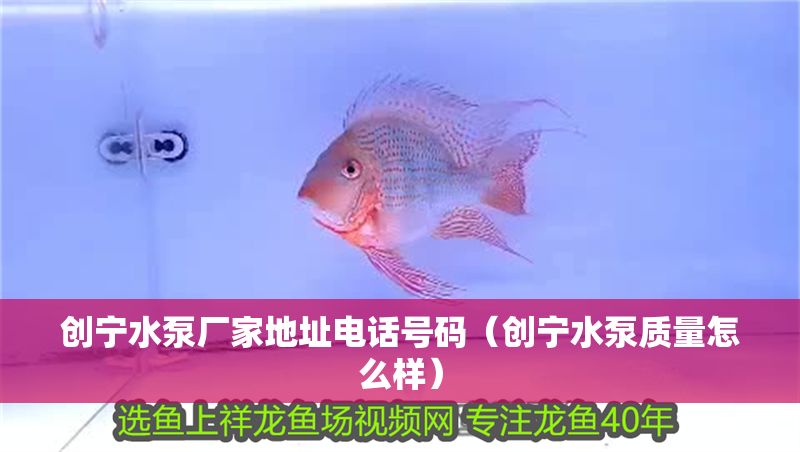 創(chuàng)寧水泵廠家地址電話號(hào)碼（創(chuàng)寧水泵質(zhì)量怎么樣）