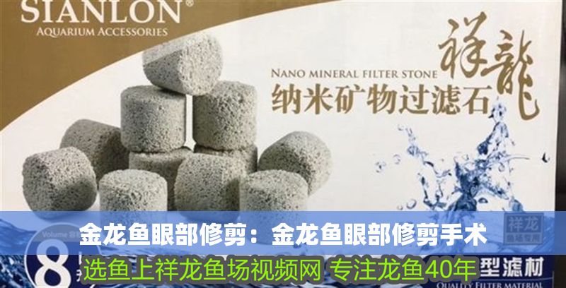 金龍魚眼部修剪：金龍魚眼部修剪手術