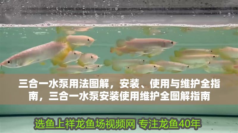 三合一水泵用法圖解，安裝、使用與維護全指南，三合一水泵安裝使用維護全圖解指南