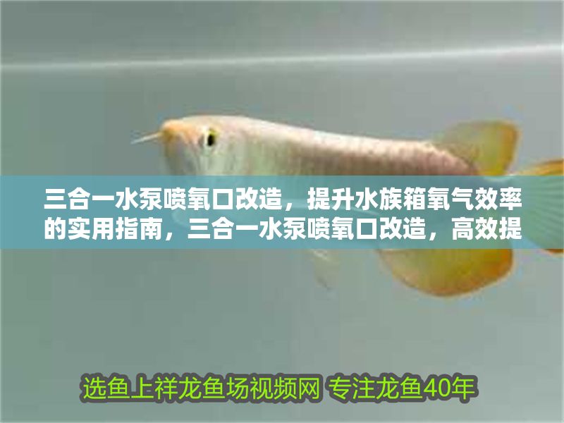 三合一水泵噴氧口改造，提升水族箱氧氣效率的實(shí)用指南，三合一水泵噴氧口改造，高效提升水族箱氧氣供給全攻略