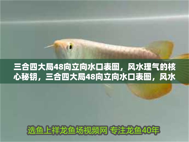 三合四大局48向立向水口表圖，風水理氣的核心秘鑰，三合四大局48向立向水口表圖，風水理氣的核心秘鑰