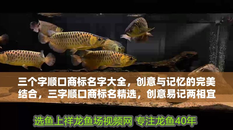 三個字順口商標名字大全，創意與記憶的完美結合，三字順口商標名精選，創意易記兩相宜