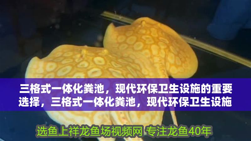 三格式一體化糞池，現代環保衛生設施的重要選擇，三格式一體化糞池，現代環保衛生設施的優選方案