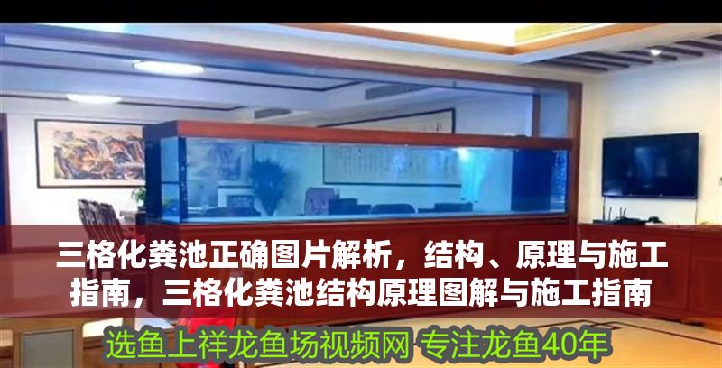 三格化糞池正確圖片解析，結構、原理與施工指南，三格化糞池結構原理圖解與施工指南