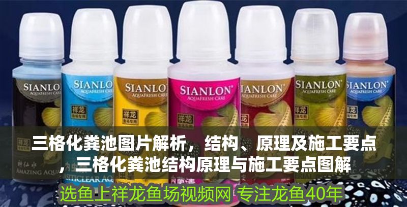 三格化糞池圖片解析，結(jié)構(gòu)、原理及施工要點(diǎn)，三格化糞池結(jié)構(gòu)原理與施工要點(diǎn)圖解