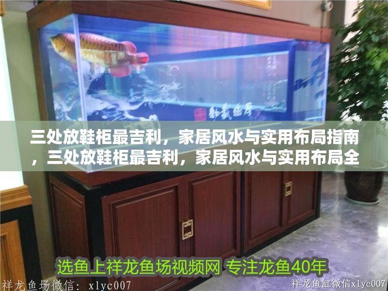 三處放鞋柜最吉利，家居風水與實用布局指南，三處放鞋柜最吉利，家居風水與實用布局全解析