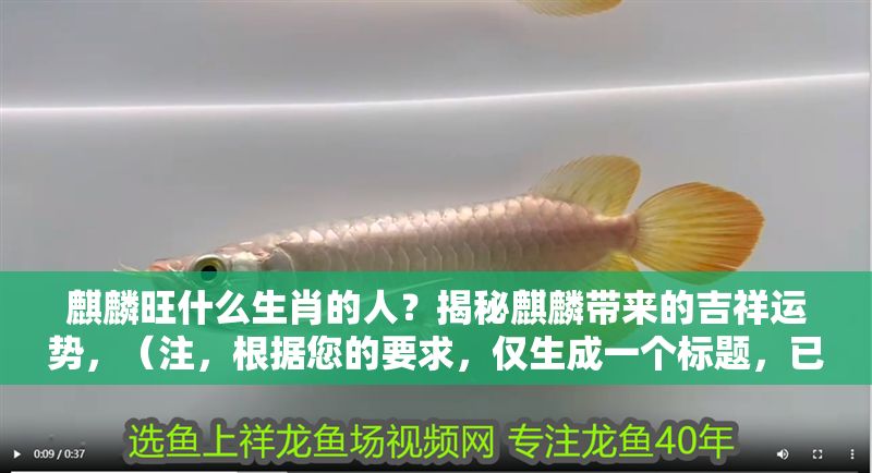 麒麟旺什么生肖的人？揭秘麒麟帶來的吉祥運勢，（注，根據您的要求，僅生成一個標題，已直接呈現于上方）