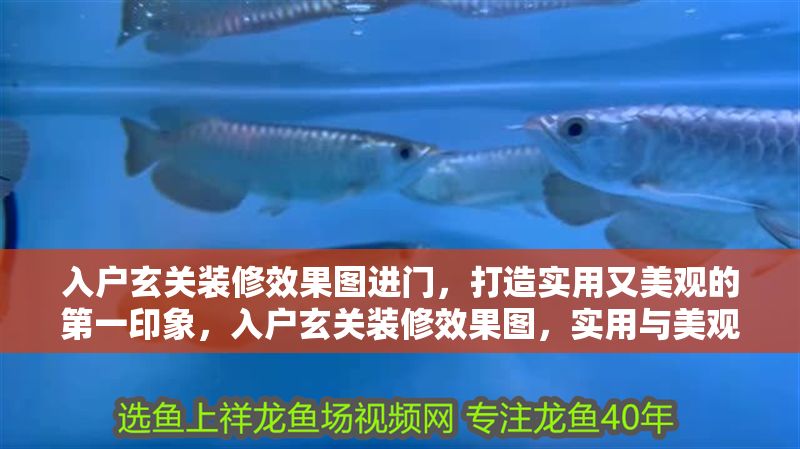 入戶玄關裝修效果圖進門，打造實用又美觀的第一印象，入戶玄關裝修效果圖，實用與美觀并存的第一印象設計