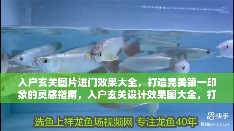 入戶玄關圖片進門效果大全，打造完美第一印象的靈感指南，入戶玄關設計效果圖大全，打造完美第一印象的靈感指南