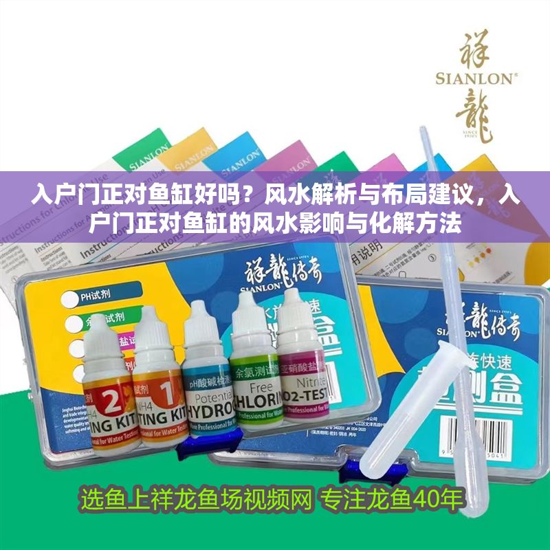 入戶門正對魚缸好嗎？風水解析與布局建議，入戶門正對魚缸的風水影響與化解方法