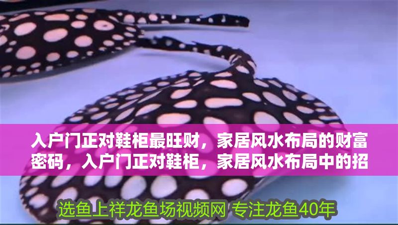 入戶門正對鞋柜最旺財，家居風水布局的財富密碼，入戶門正對鞋柜，家居風水布局中的招財秘訣