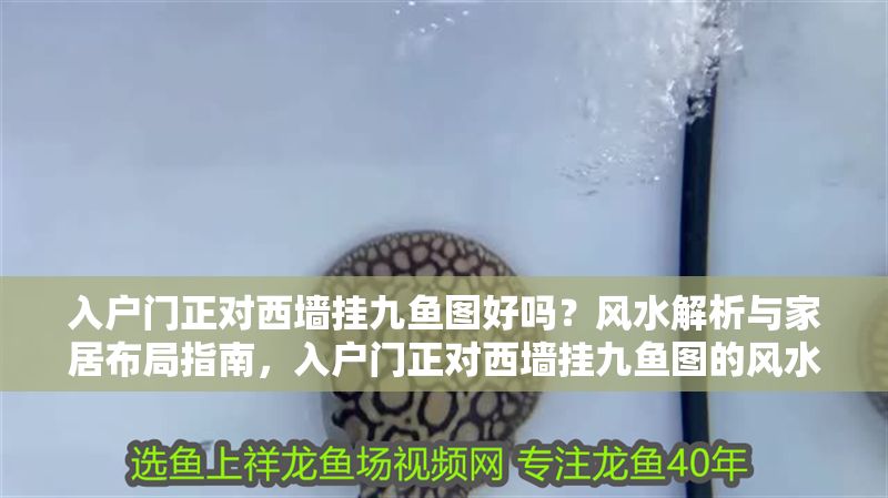 入戶門正對西墻掛九魚圖好嗎？風水解析與家居布局指南，入戶門正對西墻掛九魚圖的風水解析與布局建議
