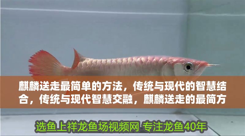 麒麟送走最簡單的方法，傳統(tǒng)與現(xiàn)代的智慧結(jié)合，傳統(tǒng)與現(xiàn)代智慧交融，麒麟送走的最簡方法