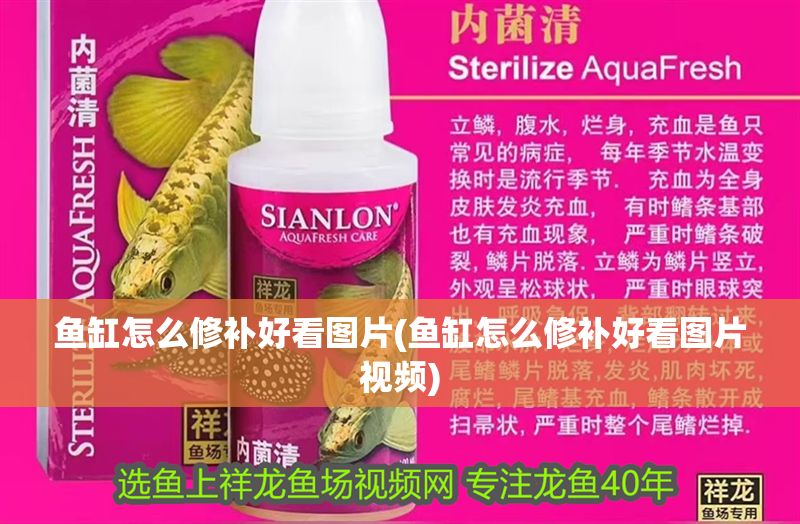 魚缸怎么修補好看圖片(魚缸怎么修補好看圖片視頻)