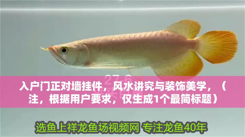 入戶門正對墻掛件，風水講究與裝飾美學，（注，根據用戶要求，僅生成1個最簡標題）