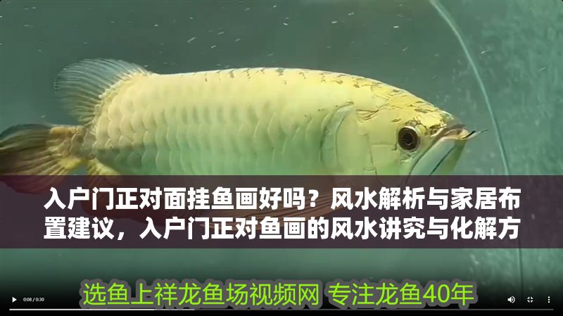 入戶門正對面掛魚畫好嗎？風水解析與家居布置建議，入戶門正對魚畫的風水講究與化解方法