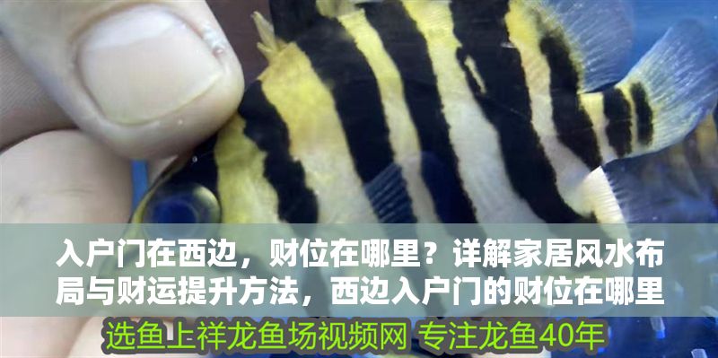 入戶門在西邊，財位在哪里？詳解家居風水布局與財運提升方法，西邊入戶門的財位在哪里？家居風水布局與財運提升全解析