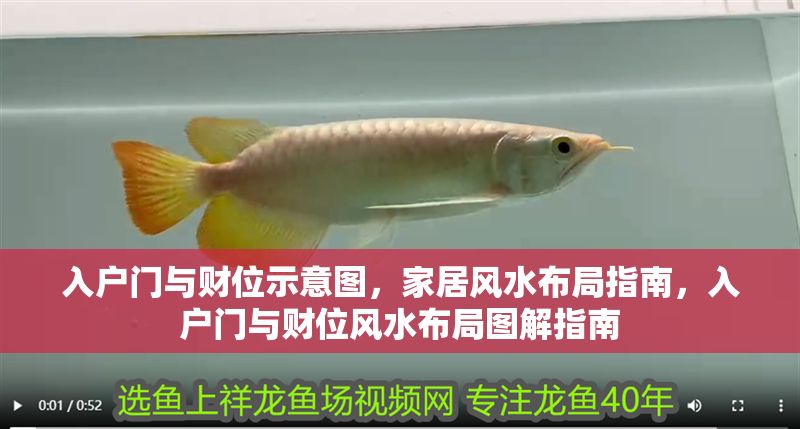 入戶門與財位示意圖，家居風(fēng)水布局指南，入戶門與財位風(fēng)水布局圖解指南
