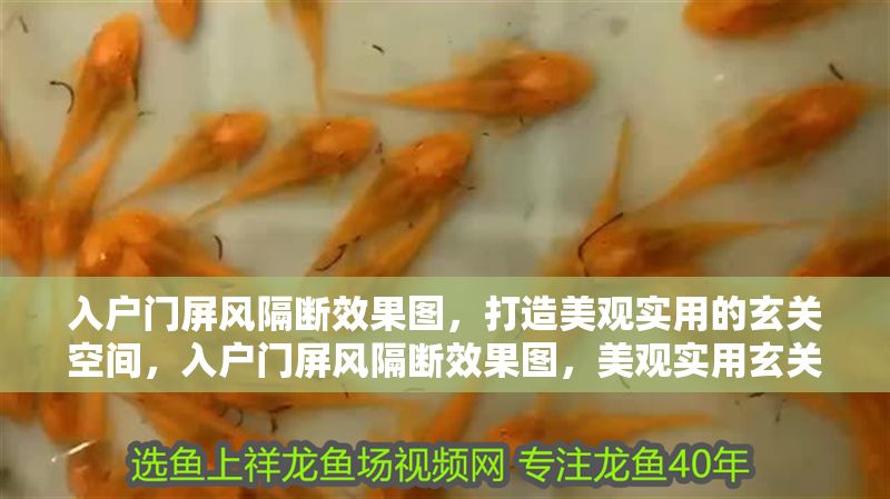 入戶門屏風隔斷效果圖，打造美觀實用的玄關空間，入戶門屏風隔斷效果圖，美觀實用玄關設計靈感