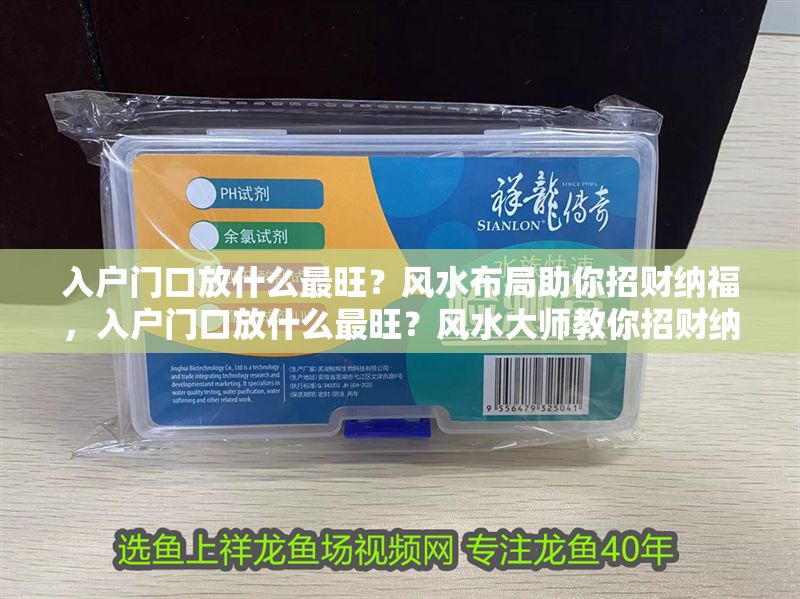入戶門口放什么最旺？風水布局助你招財納福，入戶門口放什么最旺？風水大師教你招財納福布局秘訣
