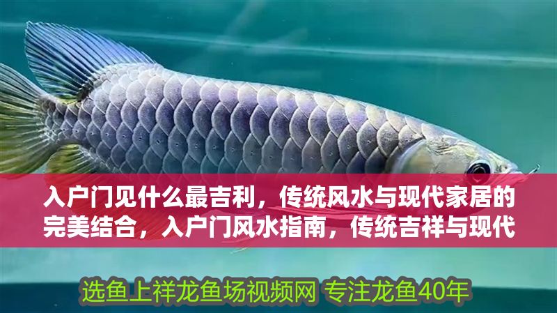 入戶門見什么最吉利，傳統風水與現代家居的完美結合，入戶門風水指南，傳統吉祥與現代家居的和諧布局